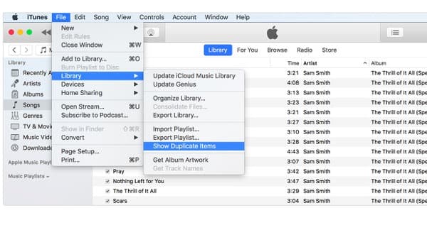 Указанное имя файла является дубликатом itunes что делать