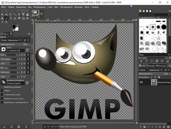 GIMP software