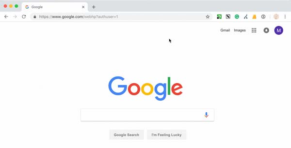 Google Chrome Browsing History