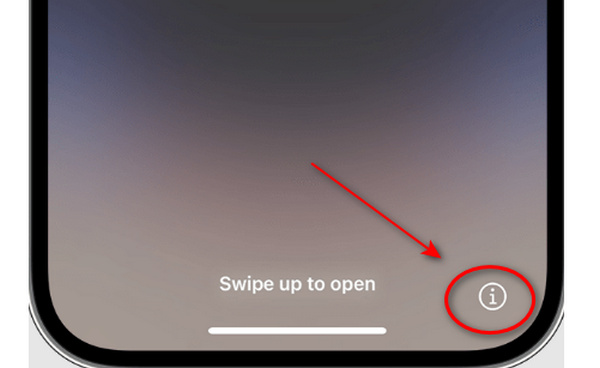 iPhone Information button