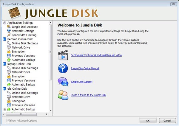 Jungle Disk