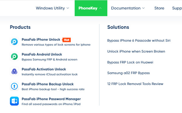 Main Interface Of Passfab