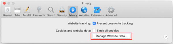 Manage Website Data Safari