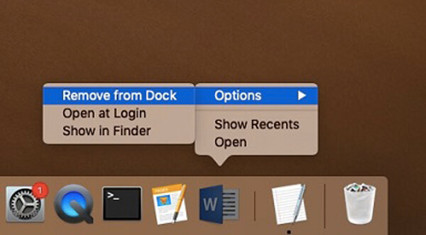 Remove Office Application From Dock