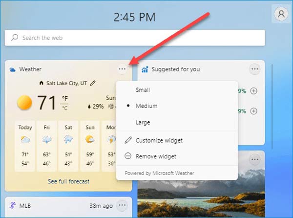 Remove Widget Windows