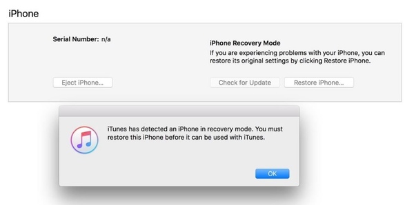 Restore iPhone in recovery mode