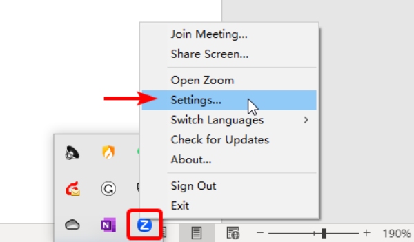 Settings On Zoom