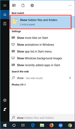 Show Hidden Files Win 10