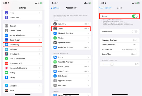 Turn On Zoom In Out On iPhone