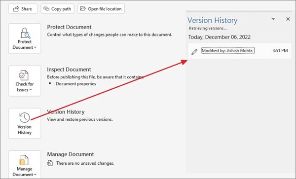 Version History Word Document