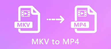 MKV to MP4