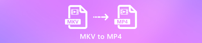 MKV to MP4