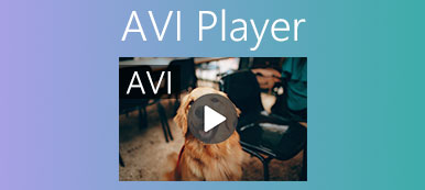 AVI Player