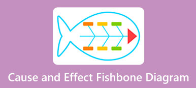 Fishbone Diagram