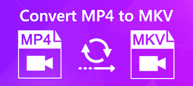 Convert MP4 to MKV