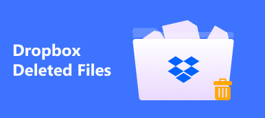 Dropbox Deleted Files