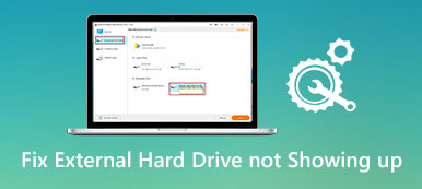 External Hard Drive Not Showing Up