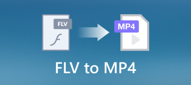 FLV to MP4