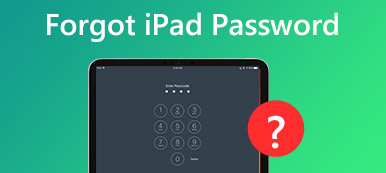 Forgot iPad Password