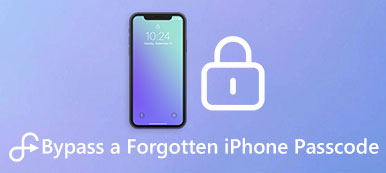 Forgotten iPhone Passcode