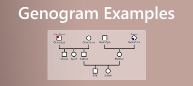 Genogram Examples