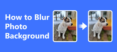 How to Blur Photo Backgrounds