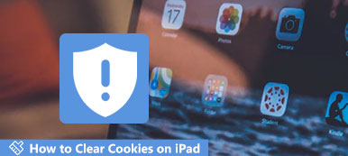 Delete Cookies on iPad