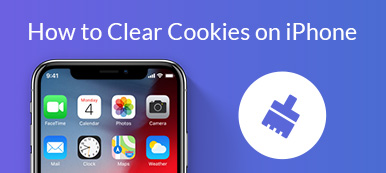 How to Clear Cookies on iPhone