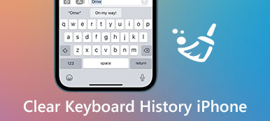 Clear Keyboard History on iPhone