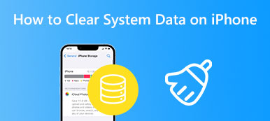 How to Clear System Data on iPhone