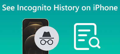 How to See Incognito History on iPhone