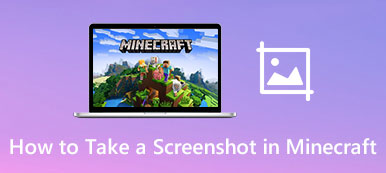 Take a Screenshot in Minecraft