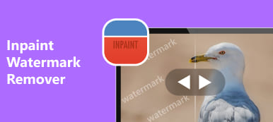 Inpaint Watermark Remover