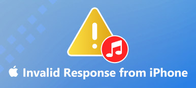 Fix iTunes Invalid Response