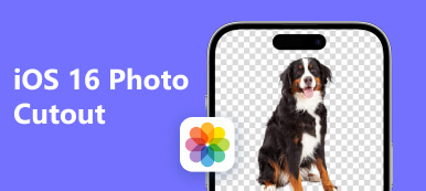 iOS 16 Photo Cutout