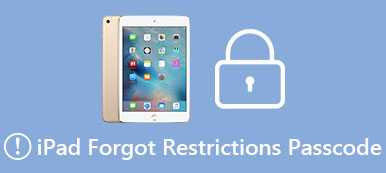 Reset an iPad with Forgotten Restrictions Passcode