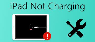 iPad Not Charging