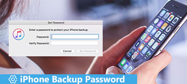 iPhone Backup Password