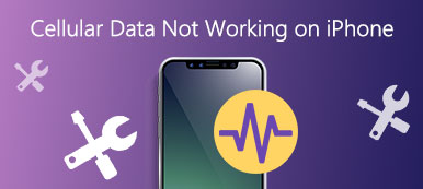 iPhone Cellular Data Not Working