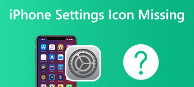 iPhone Settings Icon Missing