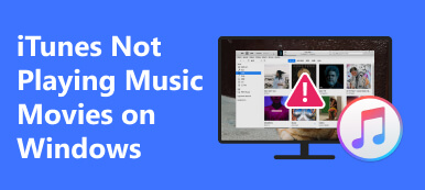 iTunes Not playing music movies on Windows