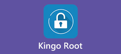 Kingo Root