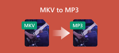 MKV to MP3