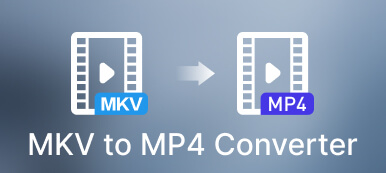 MKV to MP4 Converter