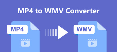 MP4 to WMV converters