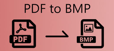 PDF to BMP