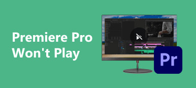 Premiere Pro Won't Play