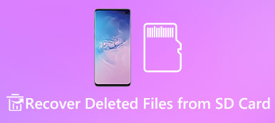 Recover Deleted Files from SD Card