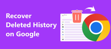 Recover Deleted History On Google