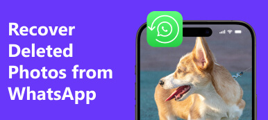 Recover Deleted Photos From Whatsapp